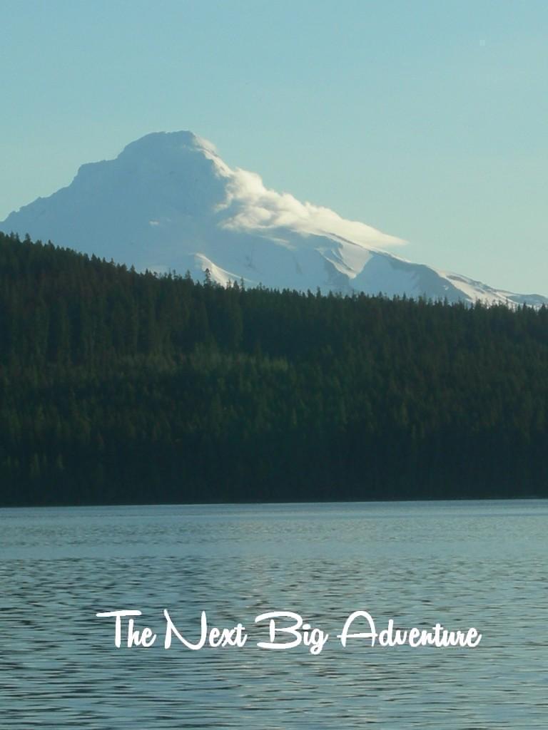 Timothy Lake