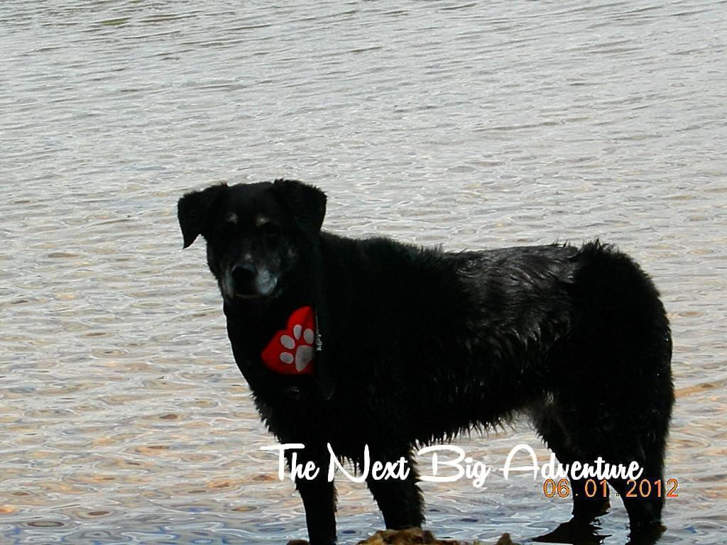 Maddy at Timothy Lake