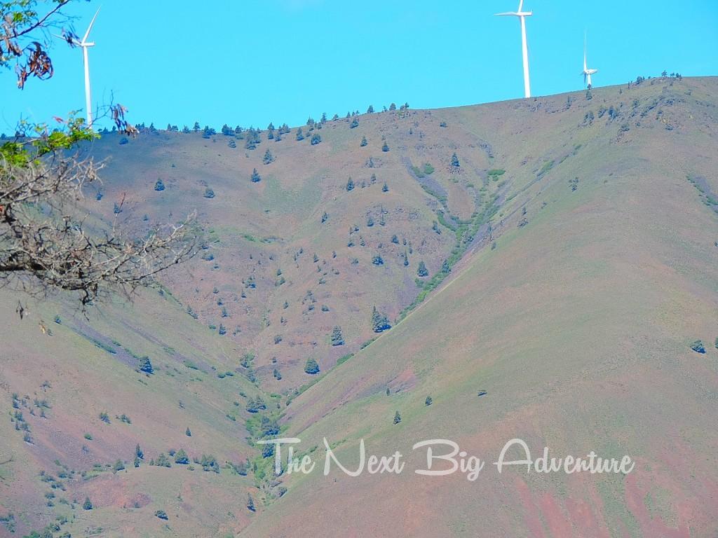 Thousands of windmills dot the landscape, harnessing the nonstop wind