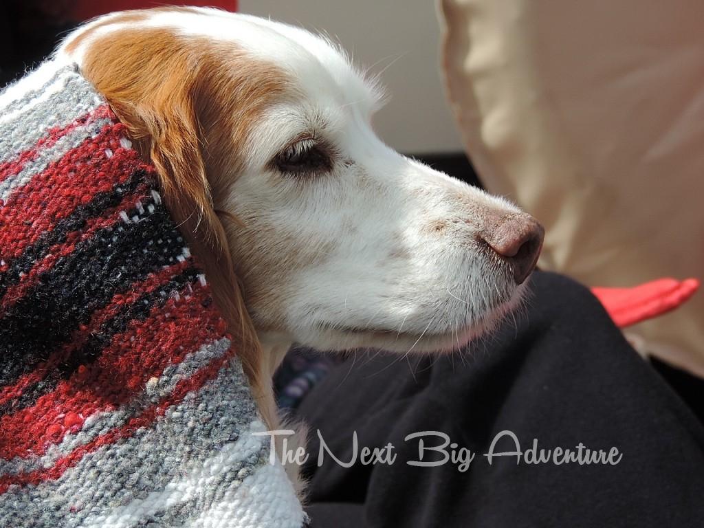 Cousin Lexi snuggling in from the chilly wind